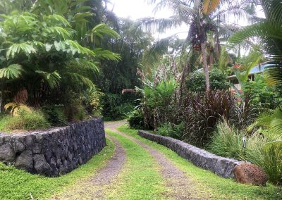 Driveway into a residential lot bordered by lava rock walls and various trees and plants.