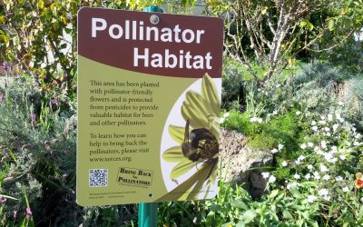 How to Create Pollinator Habitats